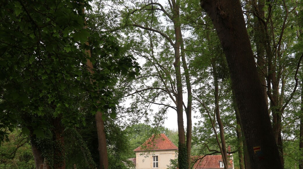 Maison forestiere de la porte de Jouy - Les loges en Josas - Yvelines - Ile-de-France - France