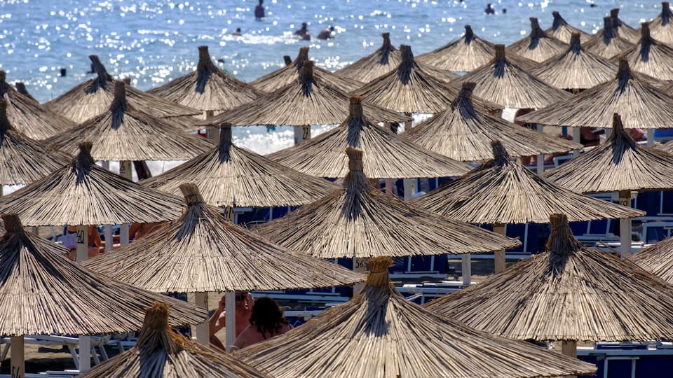 Rows of thatched umbrellas on a beach.