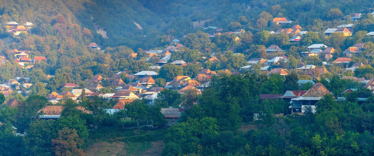 A hillside village with numerous houses surrounded by dense forest.