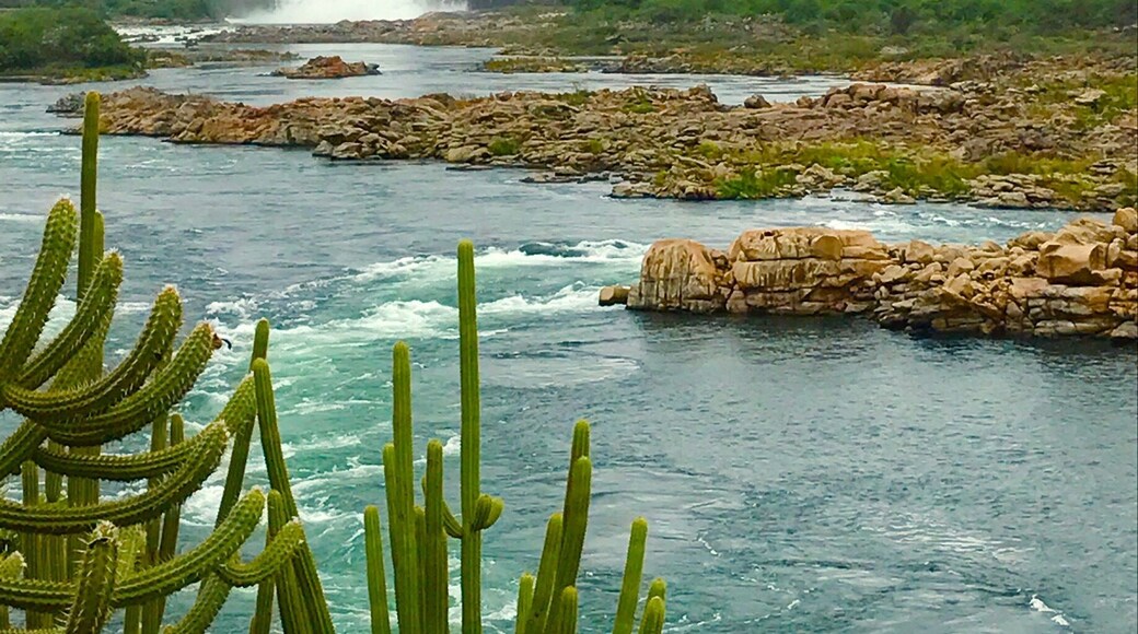 The San Francisco river keeps beautiful! Water is life!