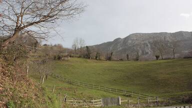 Esos praos, que verdes son