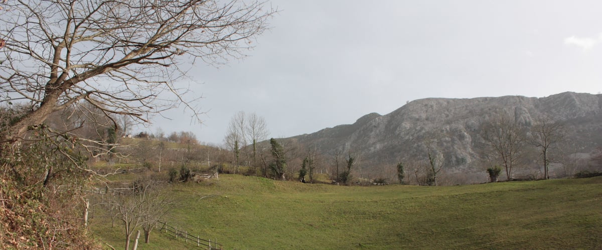 A rural road curving through a grassy field with a wooden fence and mountains in the background.