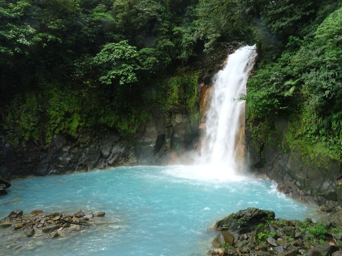 A waterfall cascading into a turquoise pool surrounded by lush greenery.