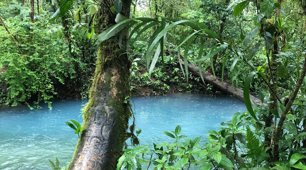 Río Celeste in Costa Rica. The minerals in the water give it the pretty blue color. No filters or color adjustments. #river #rioceleste #costarica