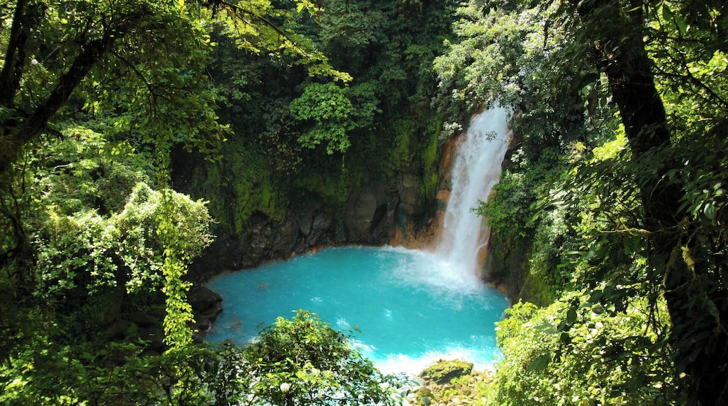The bluest most out of this world waterfalls that I have ever seen in my life. It was a glorious sight.
http://www.divebuddies4life.com/el-rio-celeste/