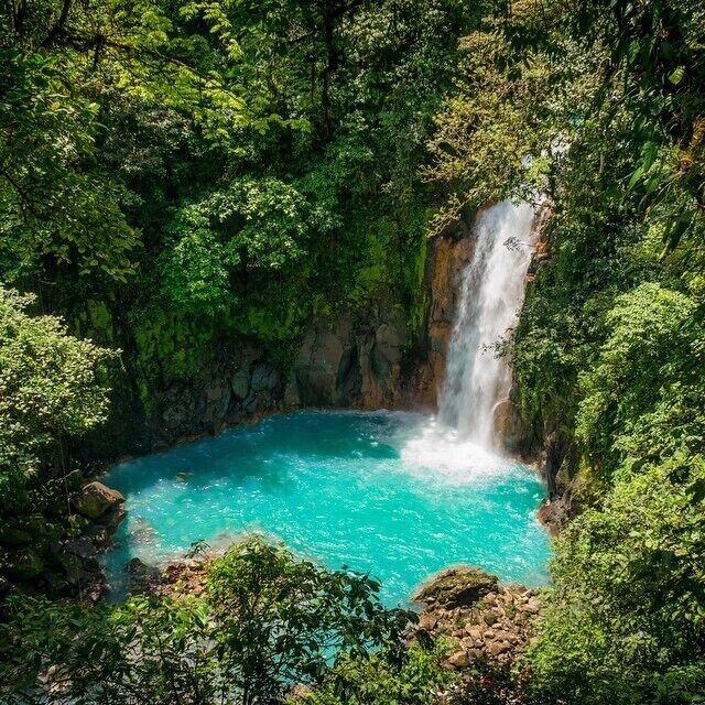 Bright turqoise water and verdant green jungle is always a winner! 😉👍🍃 #puravida #ig_costarica #costaricaphoto #RioCeleste