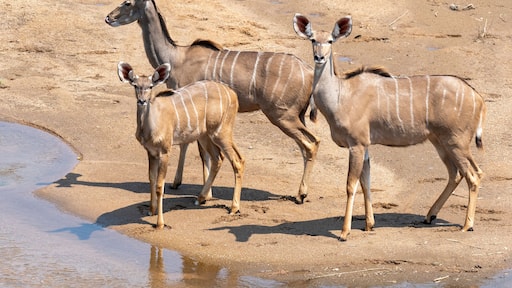 Save Valley Conservancy