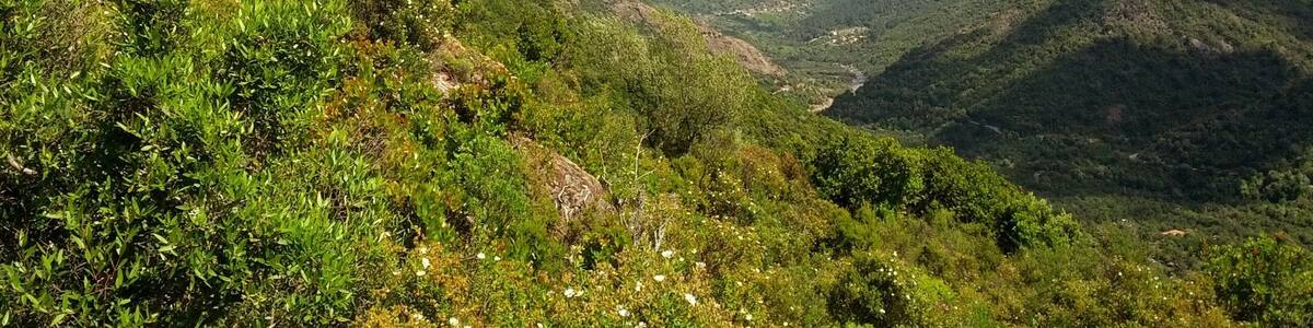 This is an image of the Biosphere Reserve or a Geopark: