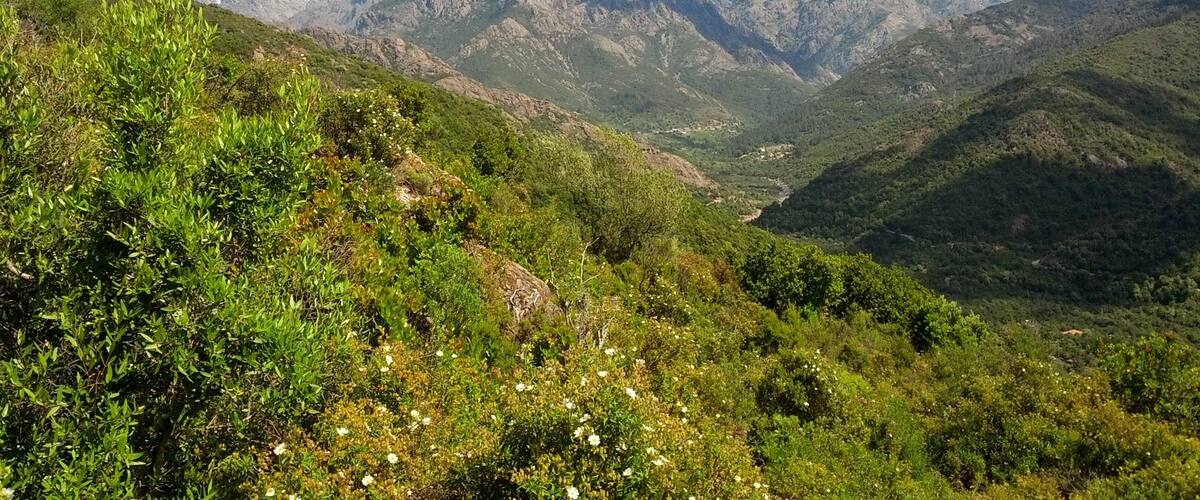 This is an image of the Biosphere Reserve or a Geopark: