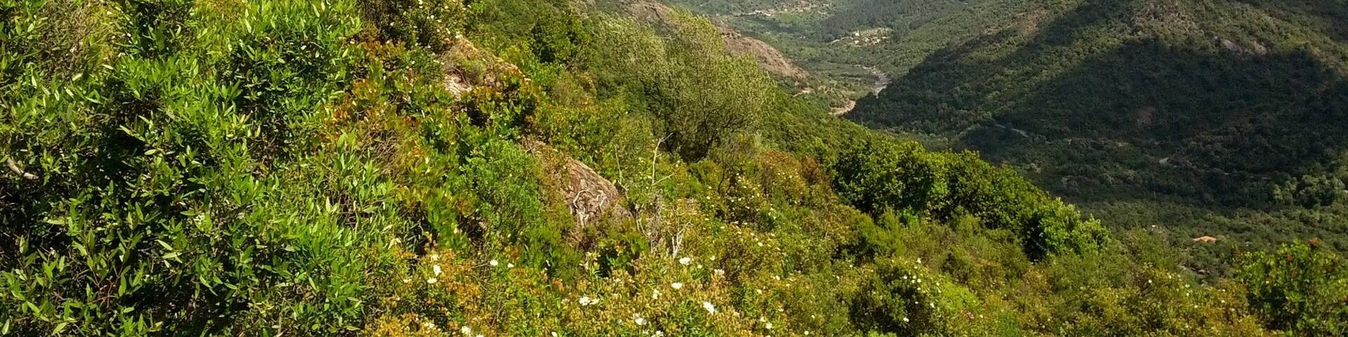 This is an image of the Biosphere Reserve or a Geopark: