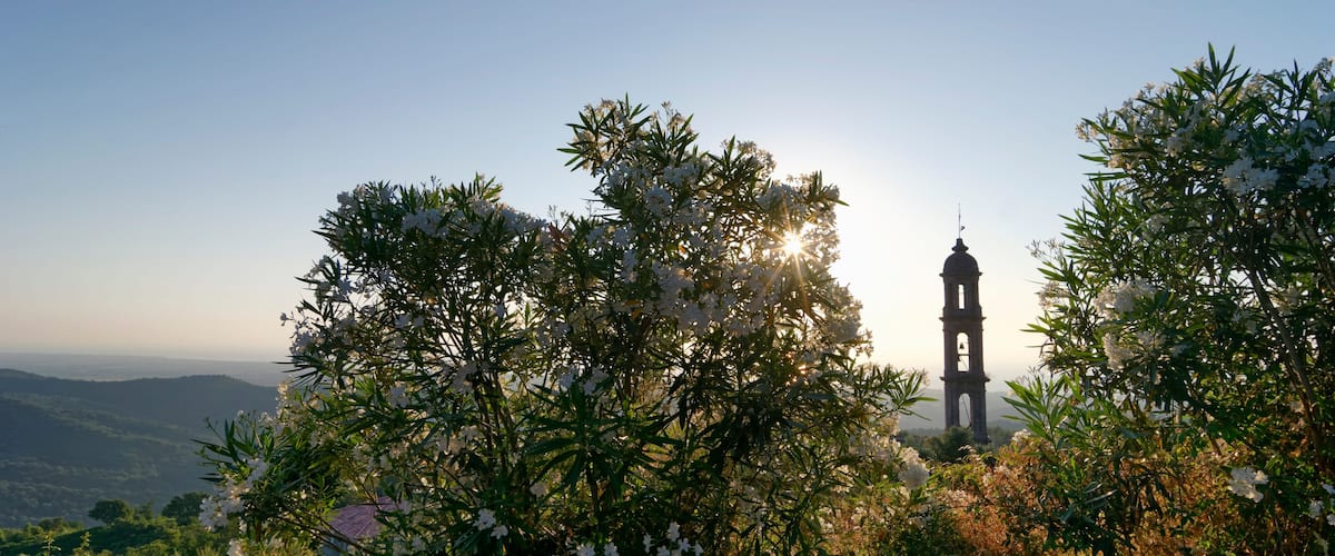 A bell tower silhouetted against a clear sky, surrounded by lush greenery and white flowers.