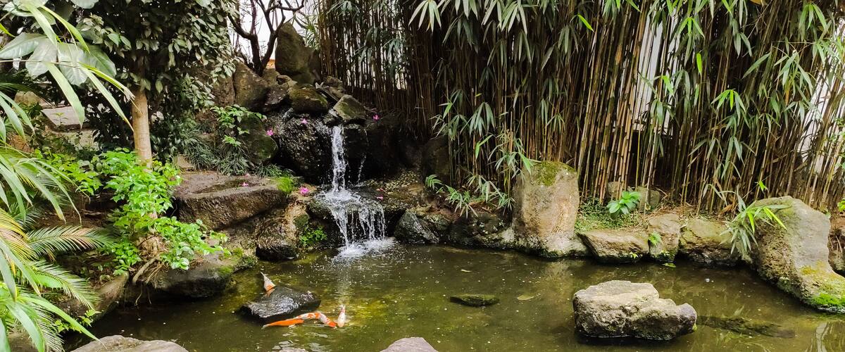 Jardim Oriental - Liberdade - São Paulo