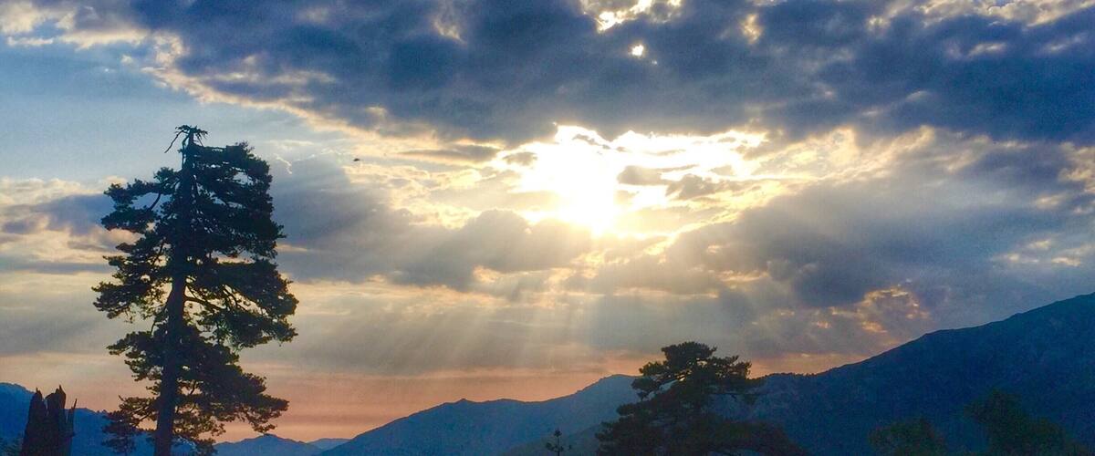 A mountain landscape with a prominent pine tree in the foreground and the sun setting behind clouds.