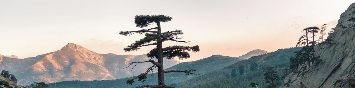 Vue du Capu à u Tozzu depuis la forêt de Valdu Niellu
