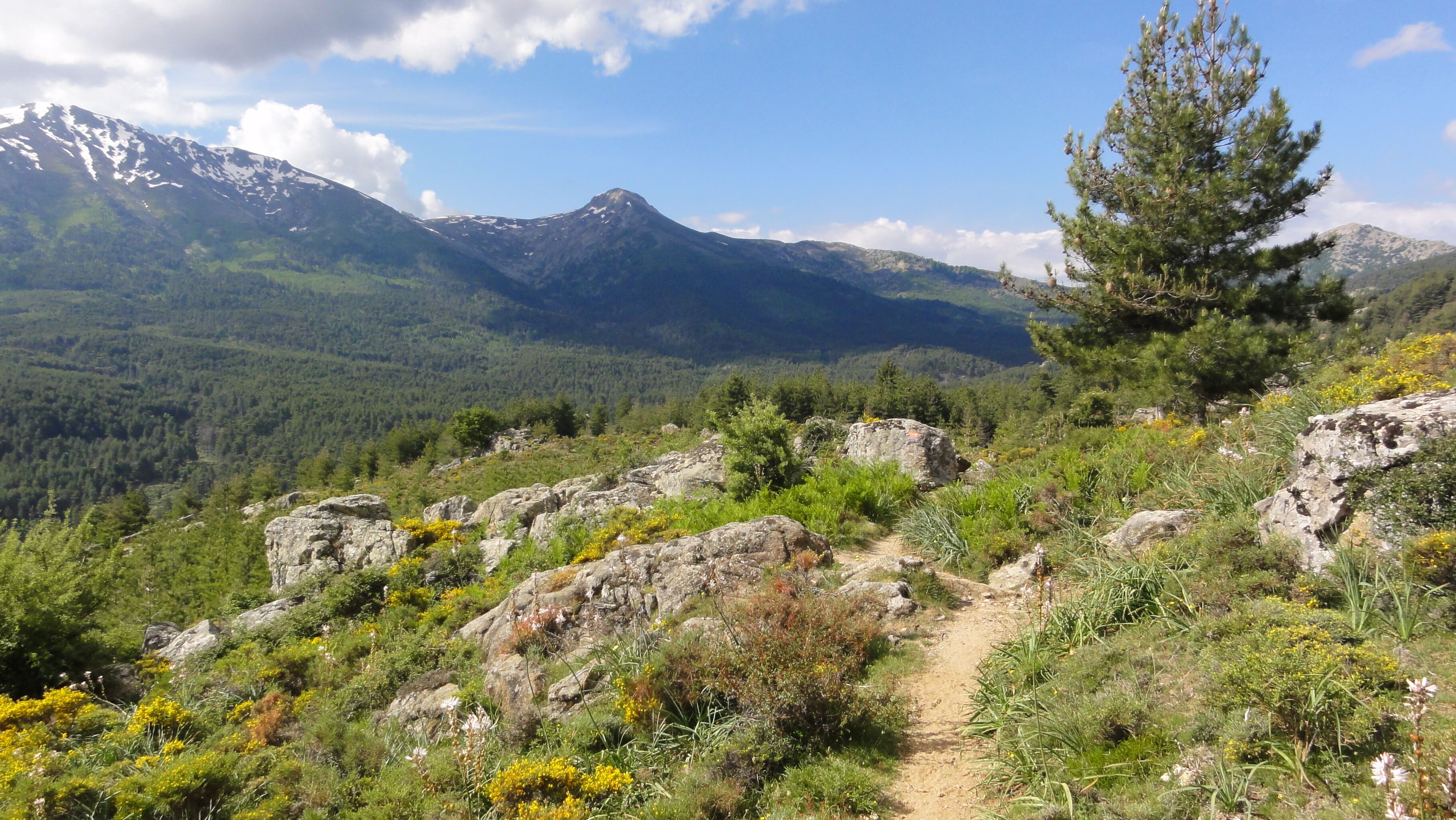 20224 Albertacce, France