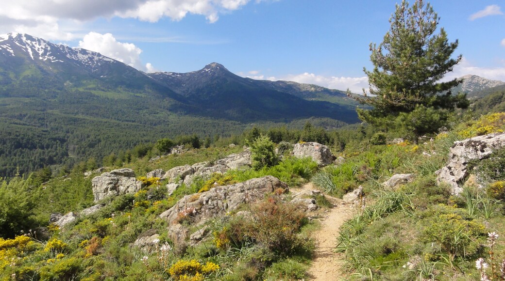 20224 Albertacce, France