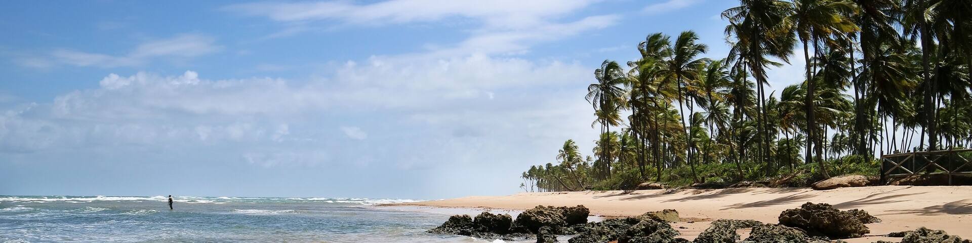 Tropical Brazilian beach. Beautiful untouched paradise.