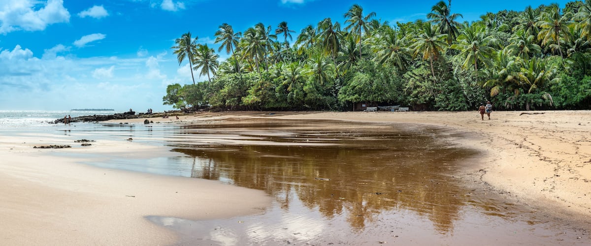 A beach with a calm sea, sandy shore, and a line of palm trees.