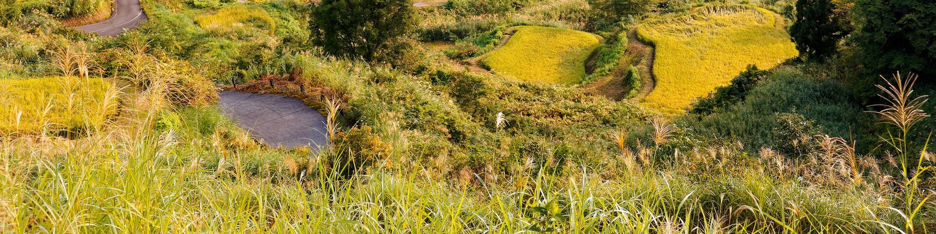 Terraced fields, winding roads, and dense forested hills.
