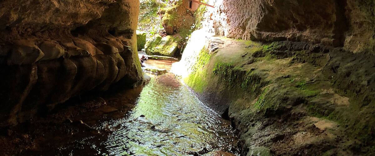A cave entrance with a stream inside.