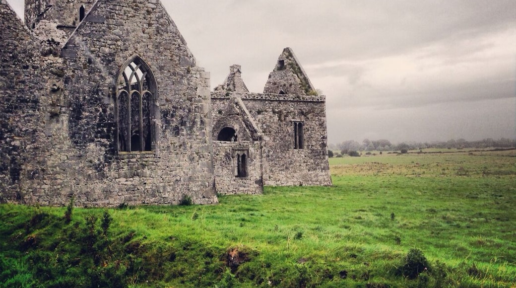 Neat 14th century friary.