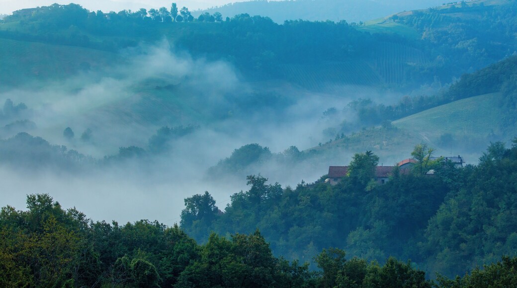 Panorama on a misty winter sunrise in Quattro Castella Reggio Emilia Italy