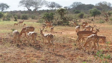 13747 square kilometres of wildlife sanctuary, a stunning place for its wildlife and landscape.