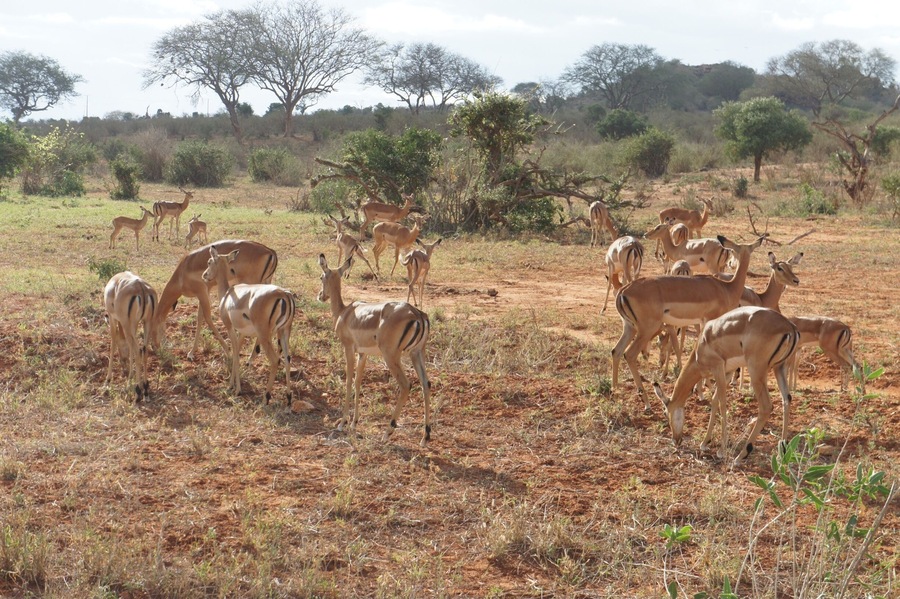 13747 square kilometres of wildlife sanctuary, a stunning place for its wildlife and landscape.