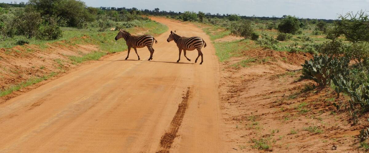 13747 square kilometres of wildlife sanctuary, a stunning place for its wildlife and landscape.