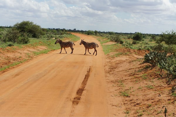 13747 square kilometres of wildlife sanctuary, a stunning place for its wildlife and landscape.