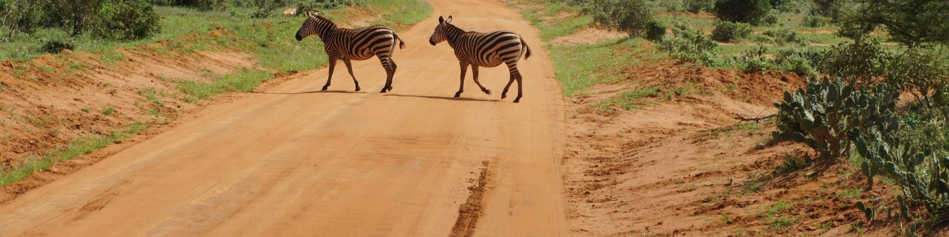 13747 square kilometres of wildlife sanctuary, a stunning place for its wildlife and landscape.