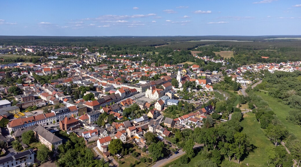 view of the old town coswig in saxony-anhalt, germany