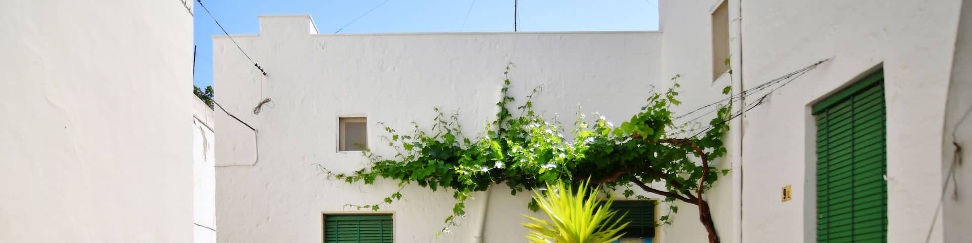 A narrow alley with white walls, blue doors, and potted plants.