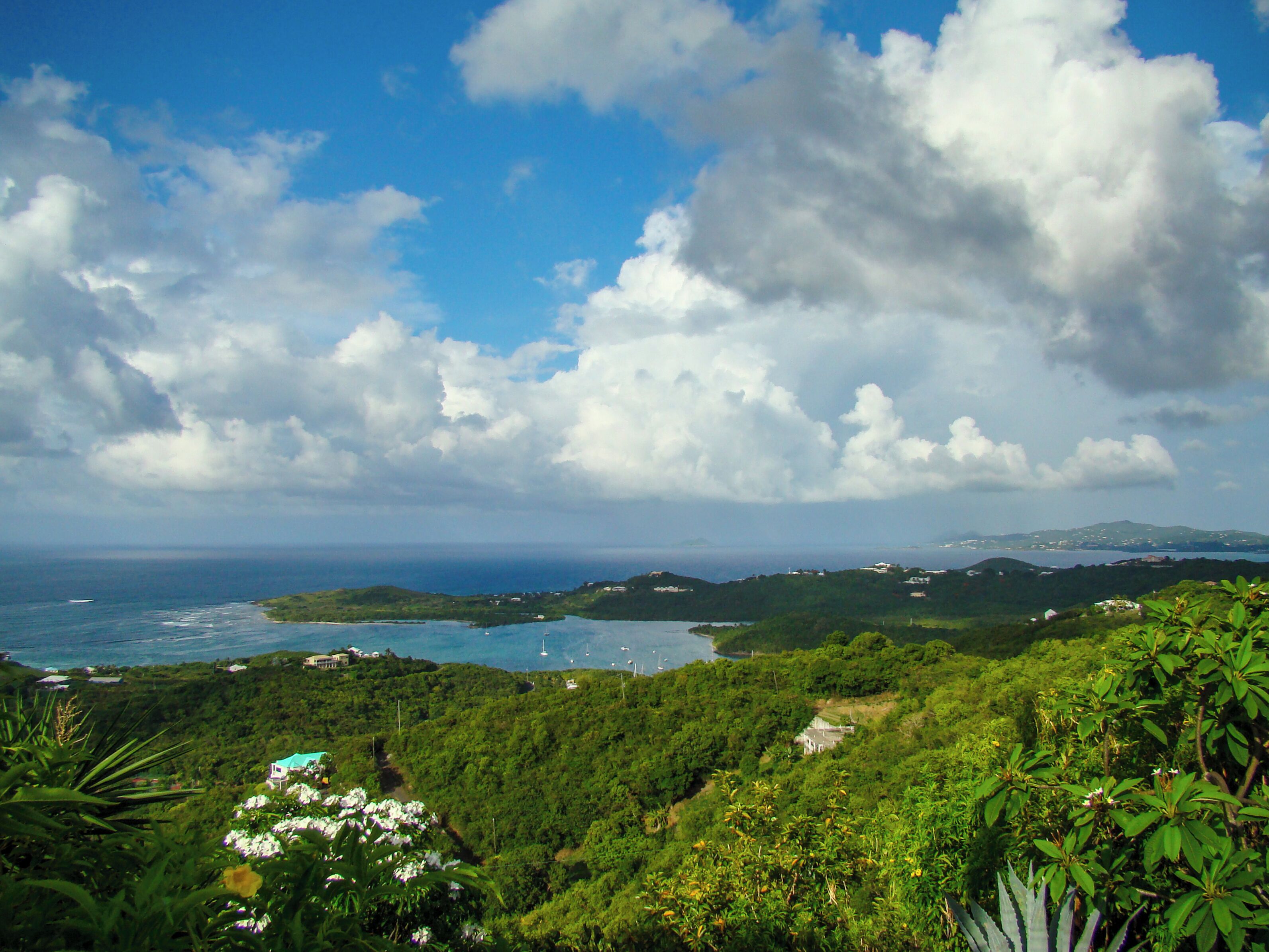 A coastal landscape with lush greenery, a clear sky, and a view of the ocean with boats.