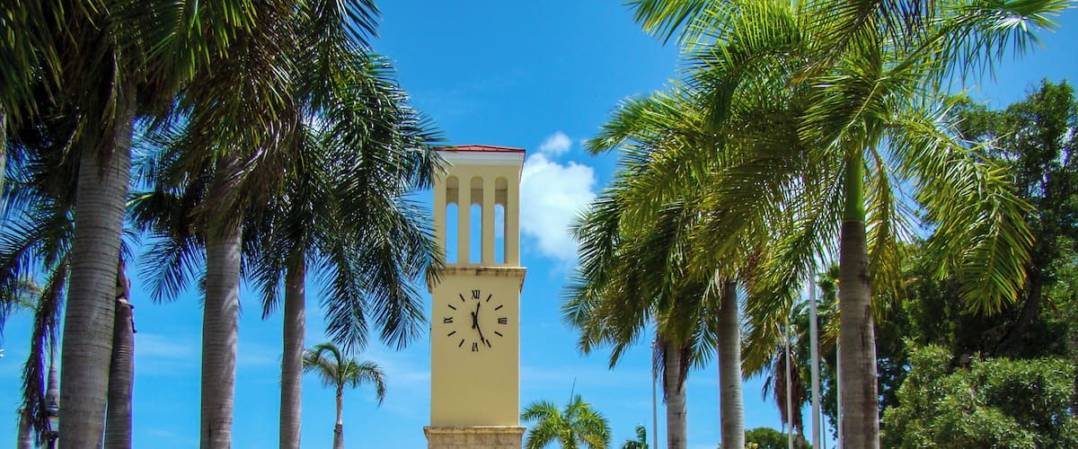 A clock tower surrounded by palm trees and benches in a park.