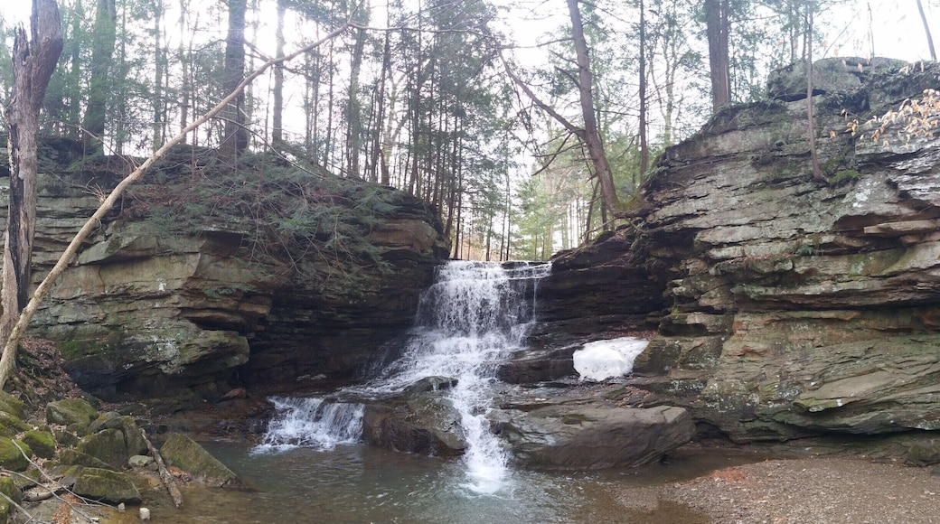 A view of the waters of Honey Run cascading down 25ft over the surrounding sandstone cliffs on its way to join the Kokosing River.
There is a parking lot nearby and a short path to the falls. The are other hiking trails in the park that meander through the boreal habitat and along the blackhand sandstone banks of the river.