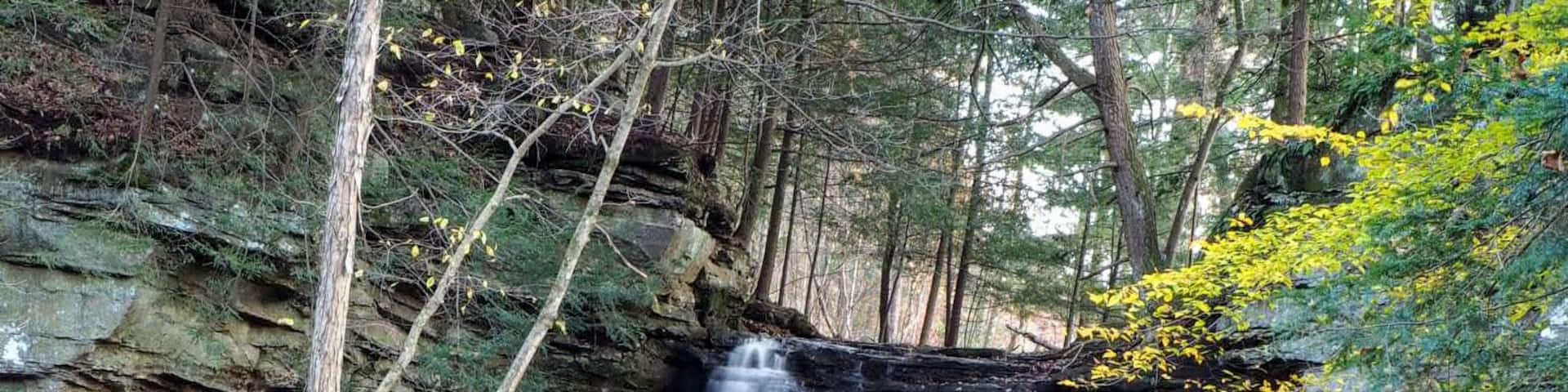Honey Run Park would probably be considered a pocket park by a rural scale.
Honey Run is a park named after a waterfall named after a creek.
Honey Run Falls is a 20 ft tall waterfall that empties into the nearby Kokosing River. The flow over the falls varies greatly throughout the seasons.
The park also has a loop trail located across the road from the falls.
#Trovember