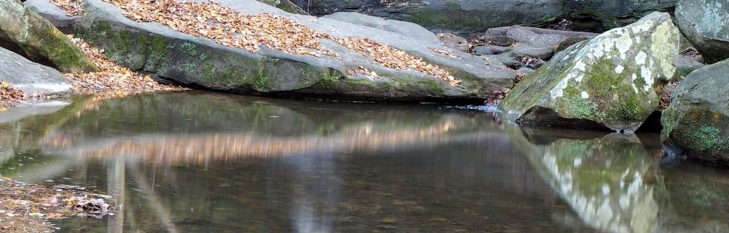 Honey Run Park would probably be considered a pocket park by a rural scale.
Honey Run is a park named after a waterfall named after a creek.
Honey Run Falls is a 20 ft tall waterfall that empties into the nearby Kokosing River. The flow over the falls varies greatly throughout the seasons.
The park also has a loop trail located across the road from the falls.
#Trovember