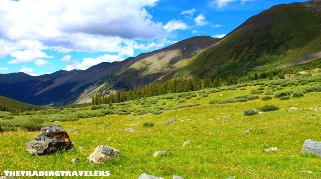 Wildflowers and spectacular views on our off-road drive from Salida to Tin Cup!
http://thetradingtravelers.com/settling-down-in-salida-colorado/