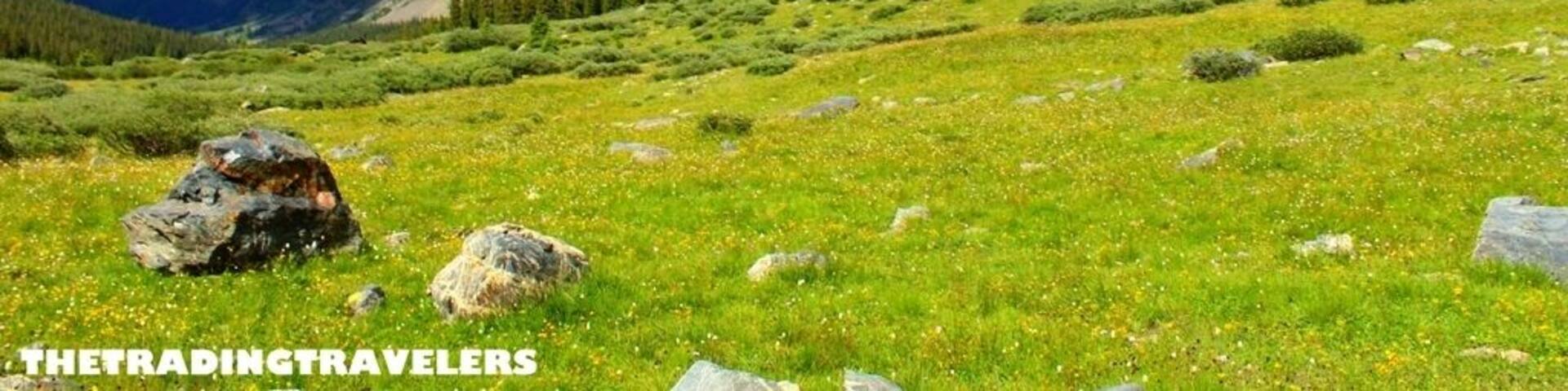 Wildflowers and spectacular views on our off-road drive from Salida to Tin Cup!
http://thetradingtravelers.com/settling-down-in-salida-colorado/