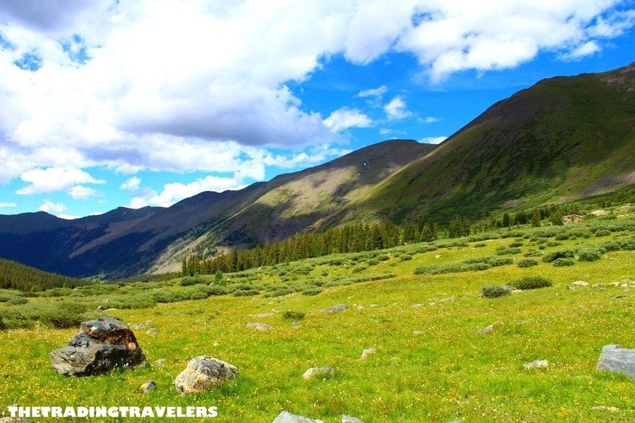 Wildflowers and spectacular views on our off-road drive from Salida to Tin Cup!
http://thetradingtravelers.com/settling-down-in-salida-colorado/