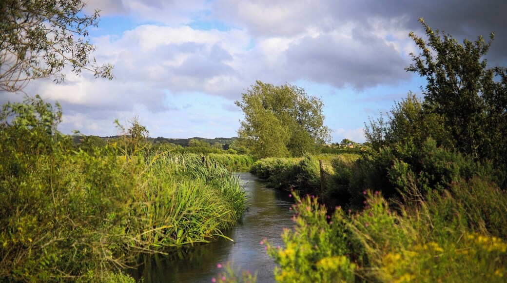 The River Windrush winding through the fields of the Cotswolds. Shot on my Canon6D/Sigma35mm