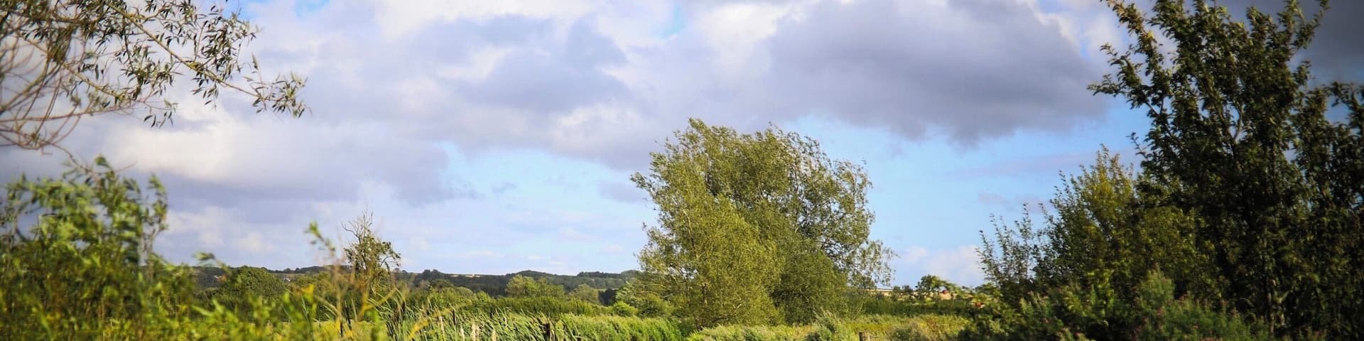 The River Windrush winding through the fields of the Cotswolds. Shot on my Canon6D/Sigma35mm