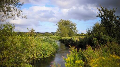 The River Windrush winding through the fields of the Cotswolds. Shot on my Canon6D/Sigma35mm