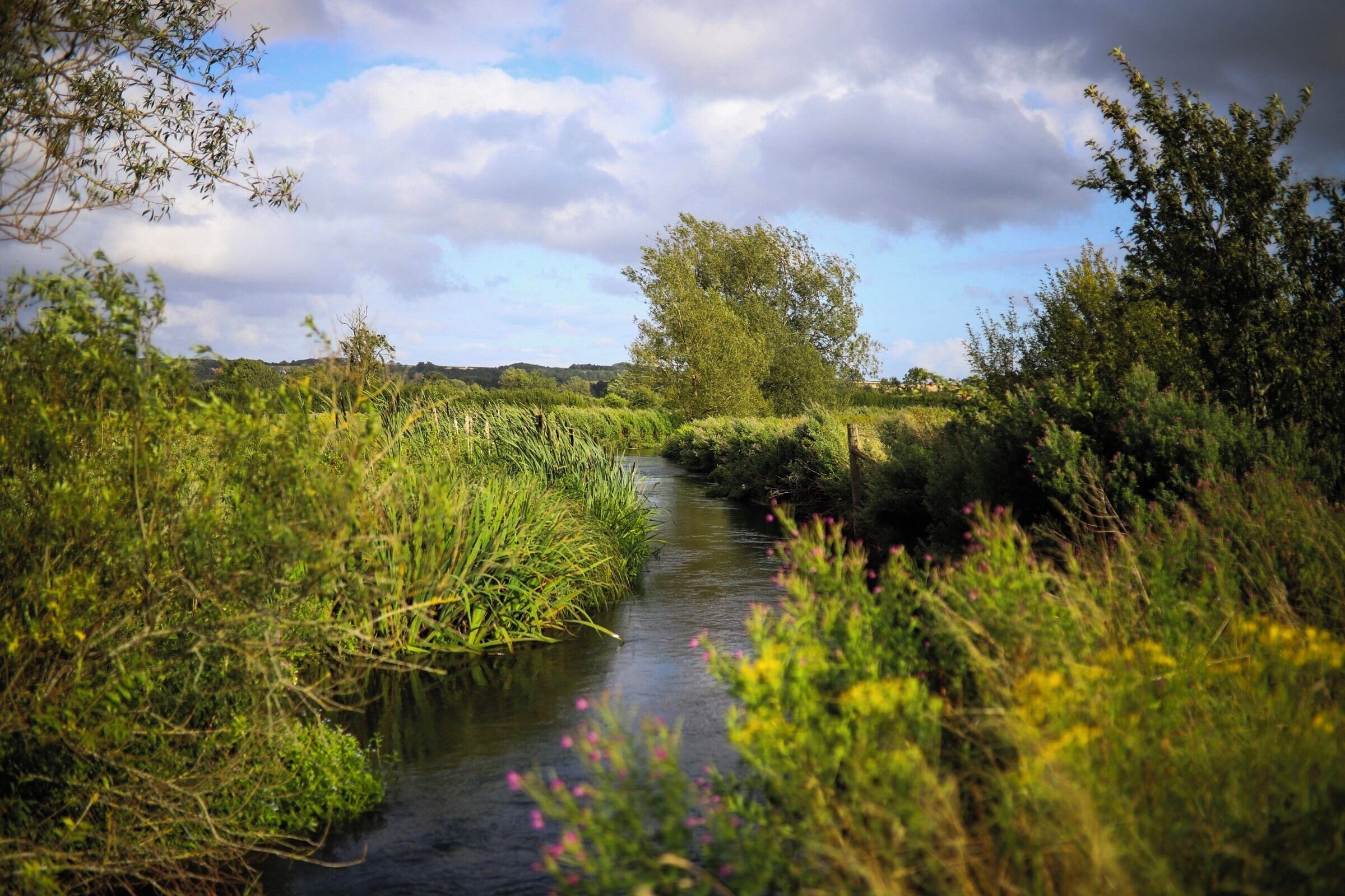 A narrow waterway flanked by lush greenery and trees under a partly cloudy sky.