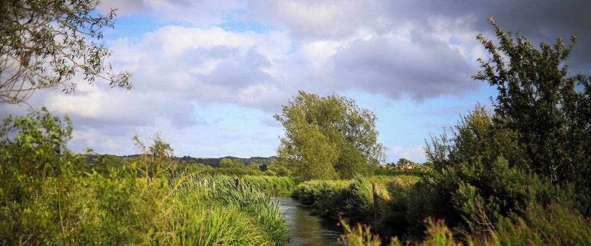 A narrow waterway flanked by lush greenery and trees under a partly cloudy sky.