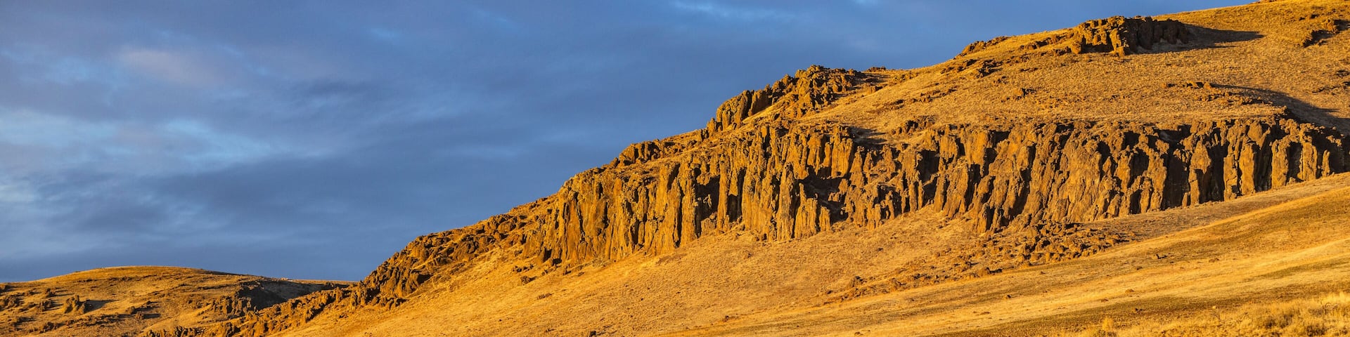 A golden-hued grassy field with a rocky hill in the background under a partly cloudy sky.