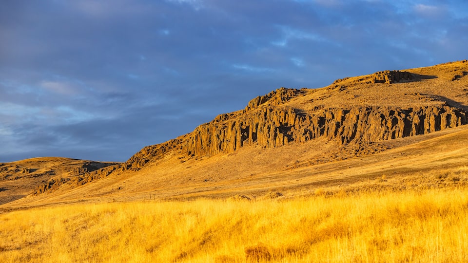 A golden-hued grassy field with a rocky hill in the background under a partly cloudy sky.