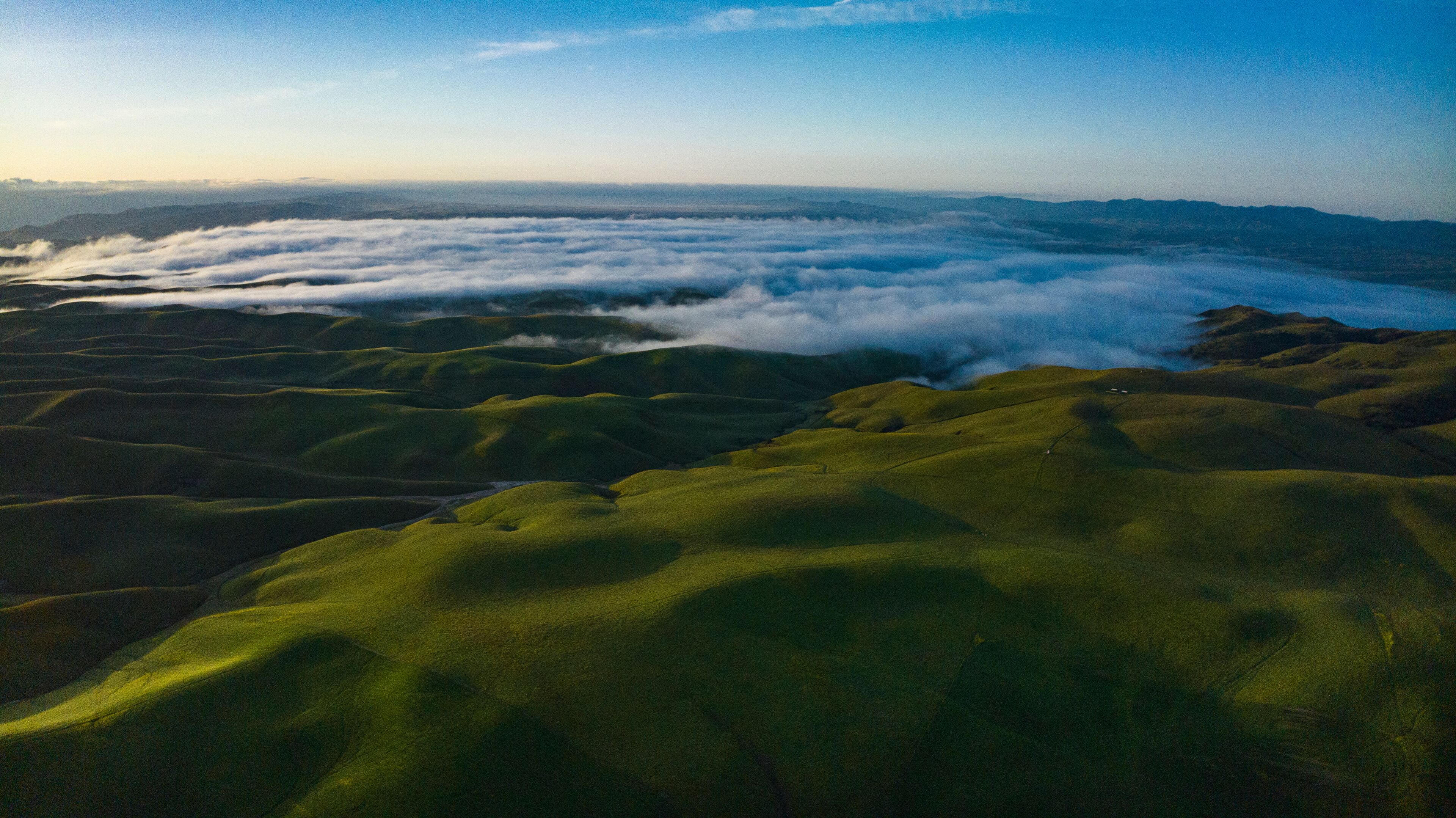 APRIL 2023, SHANDON, CA. - rolling green spring hills in the County of San Luis Obisbo, California at sunrise with morning fog