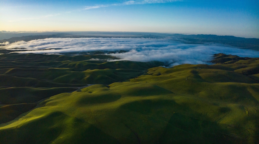 APRIL 2023, SHANDON, CA. - rolling green spring hills in the County of San Luis Obisbo, California at sunrise with morning fog